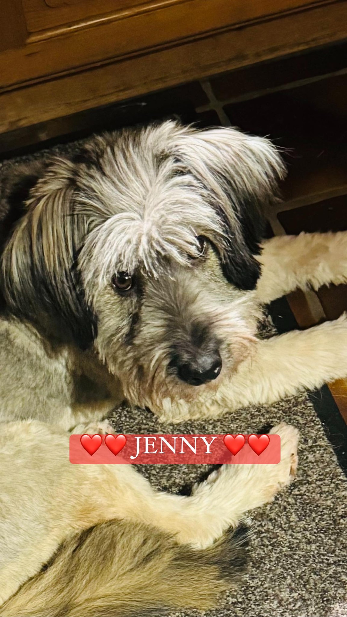 Jenny